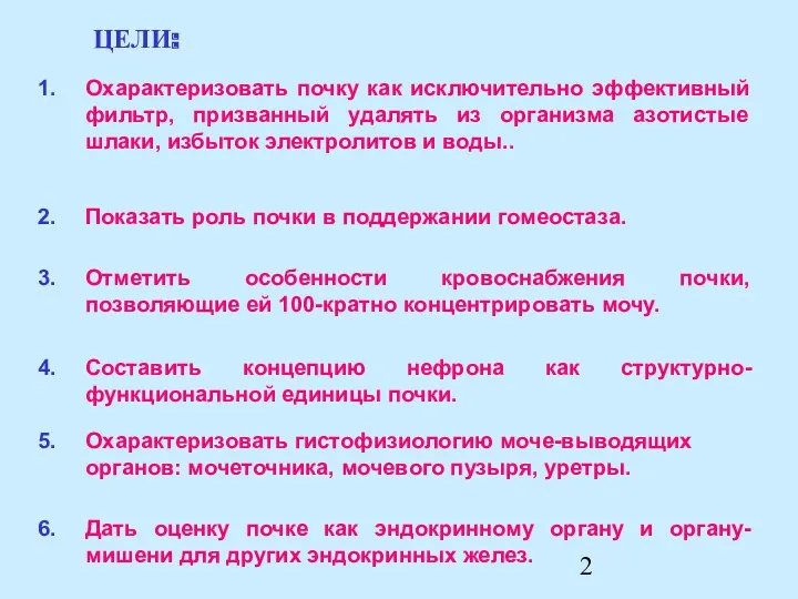 Охарактеризовать почку как исключительно эффективный фильтр, призванный удалять из организма