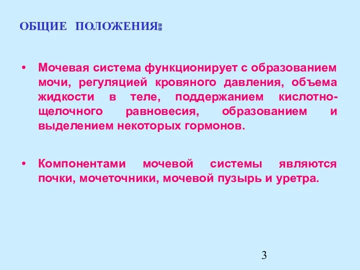 Компонентами мочевой системы являются почки, мочеточники, мочевой пузырь и уретра.