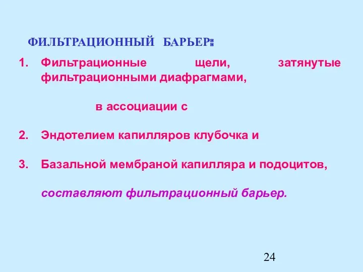 Фильтрационные щели, затянутые фильтрационными диафрагмами, в ассоциации с Эндотелием капилляров