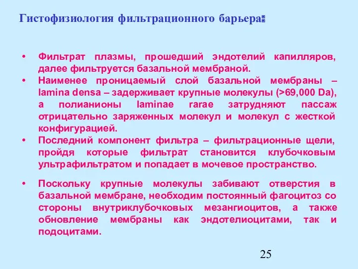 Поскольку крупные молекулы забивают отверстия в базальной мембране, необходим постоянный