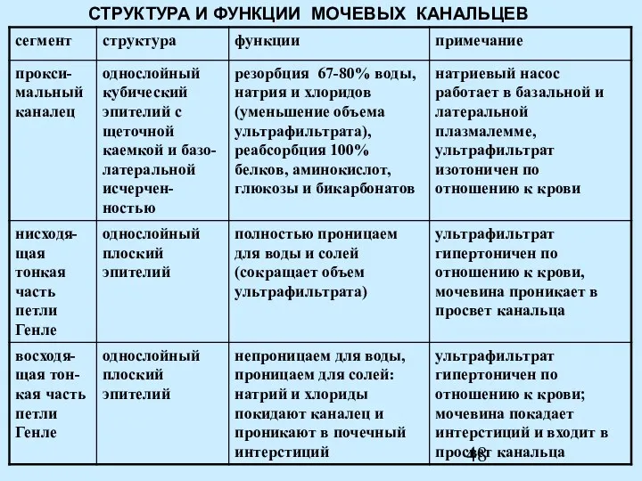 СТРУКТУРА И ФУНКЦИИ МОЧЕВЫХ КАНАЛЬЦЕВ