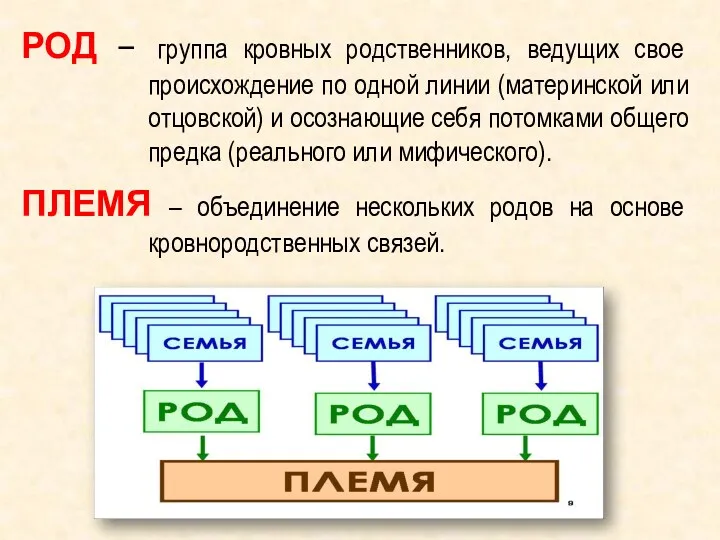 РОД – группа кровных родственников, ведущих свое происхождение по одной