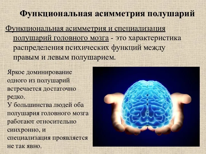Функциональная асимметрия полушарий Функциональная асимметрия и специализация полушарий головного мозга