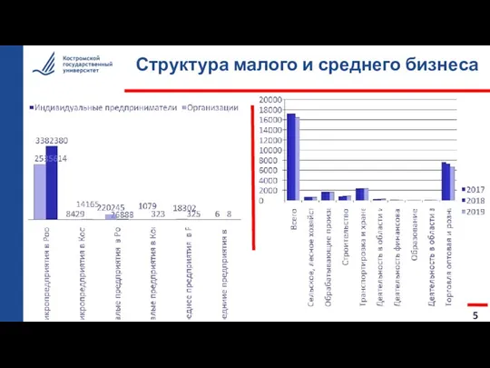 Структура малого и среднего бизнеса