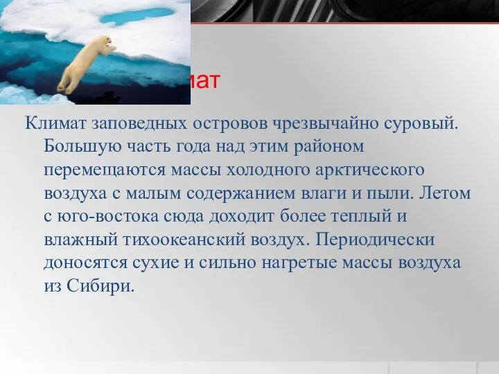 Климат Климат заповедных островов чрезвычайно суровый. Большую часть года над этим районом перемещаются