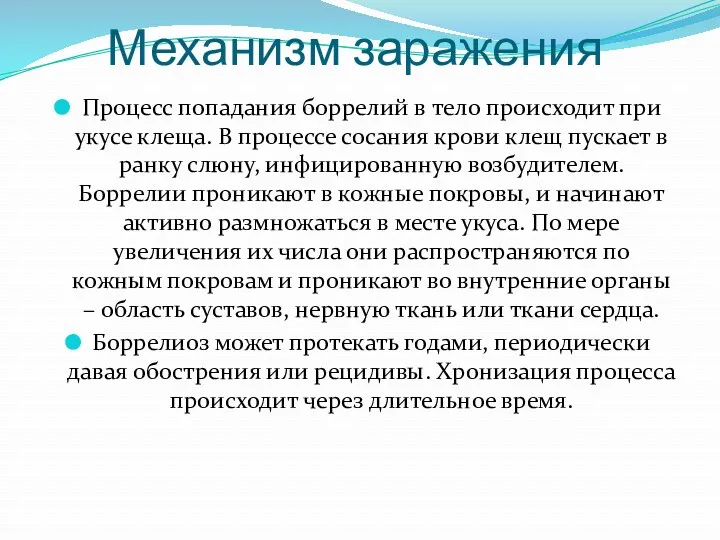 Механизм заражения Процесс попадания боррелий в тело происходит при укусе