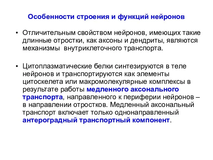 Особенности строения и функций нейронов Отличительным свойством нейронов, имеющих такие