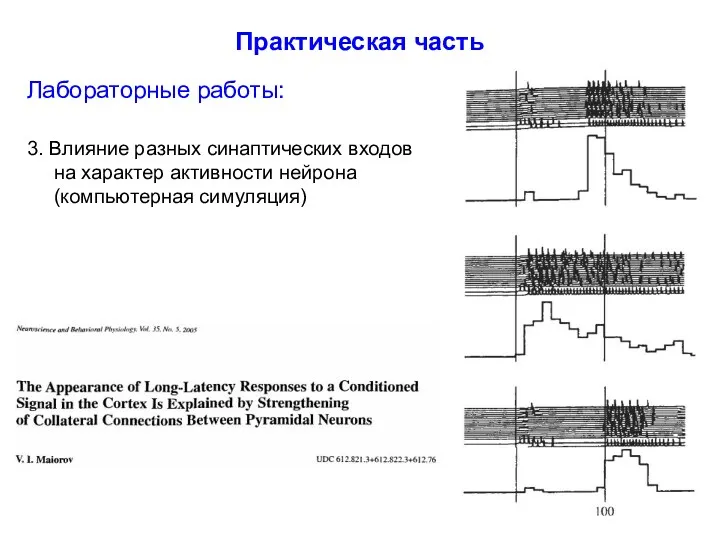 Практическая часть Лабораторные работы: 3. Влияние разных синаптических входов на характер активности нейрона (компьютерная симуляция)