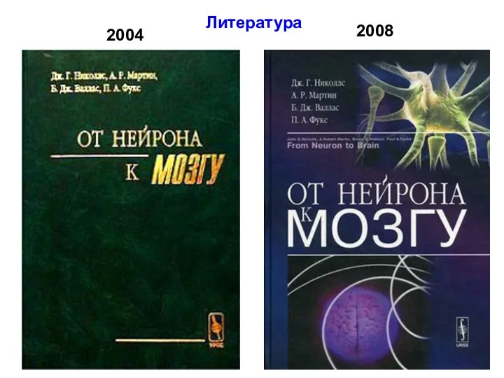 Литература 2004 2008