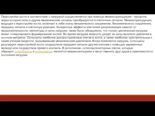 Перестройка кости в соответствие с нагрузкой осуществляется при помощи механотрансдукции