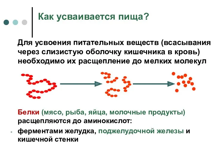 Как усваивается пища? Для усвоения питательных веществ (всасывания через слизистую