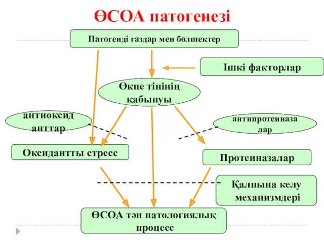 ӨСОА патогенезі Патогенді газдар мен бөлшектер Ішкі факторлар Өкпе тінінің