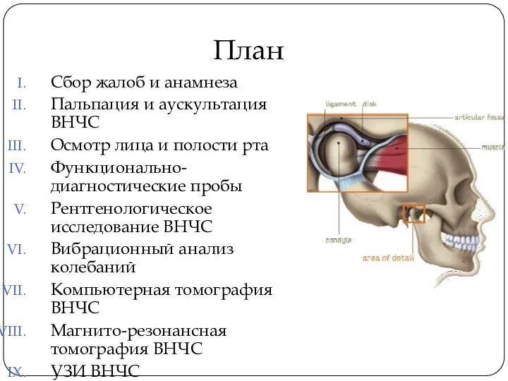 План Сбор жалоб и анамнеза Пальпация и аускультация ВНЧС Осмотр лица и полости