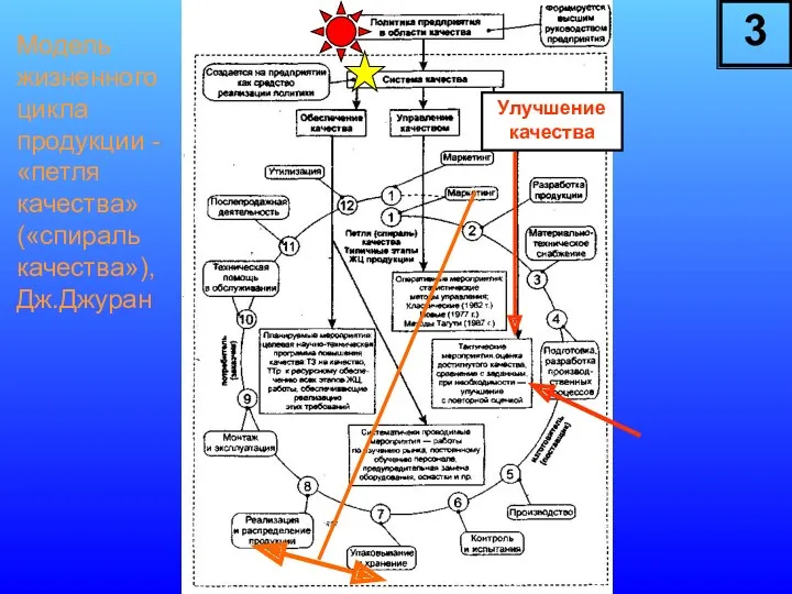 Модель жизненного цикла продукции - «петля качества» («спираль качества»), Дж.Джуран Улучшение качества 3