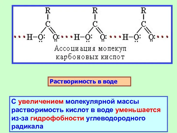 Растворимость в воде С увеличением молекулярной массы растворимость кислот в воде уменьшается из-за гидрофобности углеводородного радикала