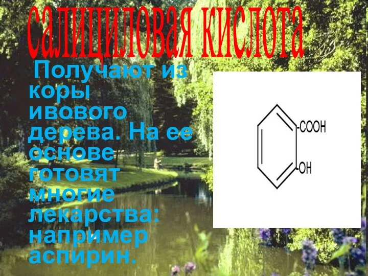 салициловая кислота Получают из коры ивового дерева. На ее основе готовят многие лекарства: например аспирин.