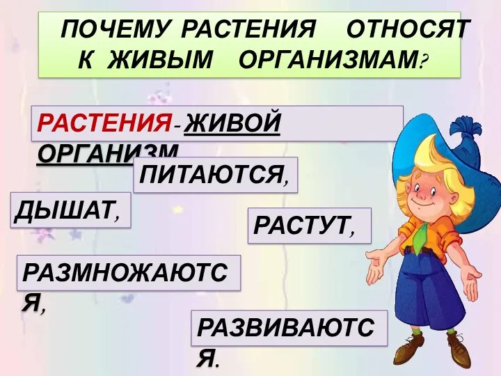 ПОЧЕМУ РАСТЕНИЯ ОТНОСЯТ К ЖИВЫМ ОРГАНИЗМАМ? РАСТЕНИЯ- ЖИВОЙ ОРГАНИЗМ ДЫШАТ, ПИТАЮТСЯ, РАСТУТ, РАЗМНОЖАЮТСЯ, РАЗВИВАЮТСЯ.