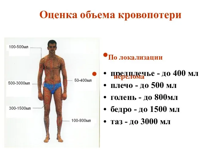 Оценка объема кровопотери предплечье - до 400 мл плечо - до 500 мл