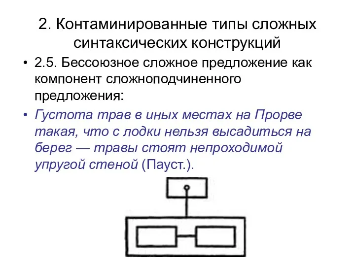 2. Контаминированные типы сложных синтаксических конструкций 2.5. Бессоюзное сложное предложение