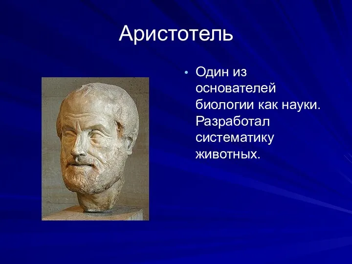 Аристотель Один из основателей биологии как науки. Разработал систематику животных.