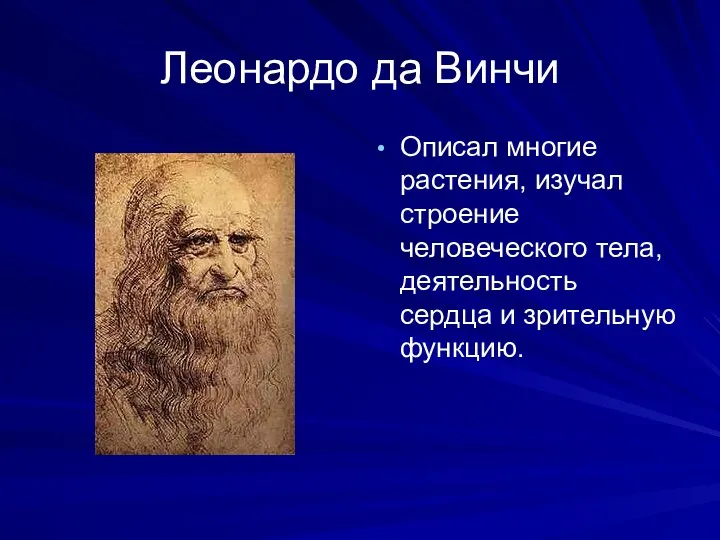 Леонардо да Винчи Описал многие растения, изучал строение человеческого тела, деятельность сердца и зрительную функцию.