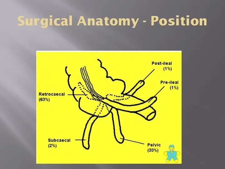 Surgical Anatomy - Position