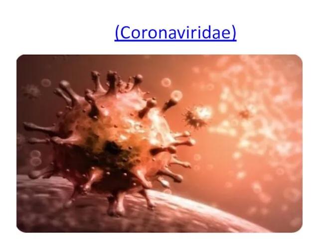 (Coronaviridae)