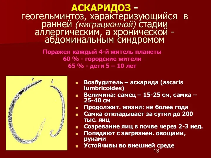 АСКАРИДОЗ - геогельминтоз, характеризующийся в ранней (миграционной) стадии аллергическим, а