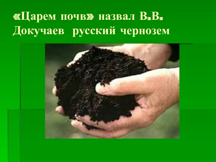 «Царем почв» назвал В.В.Докучаев русский чернозем