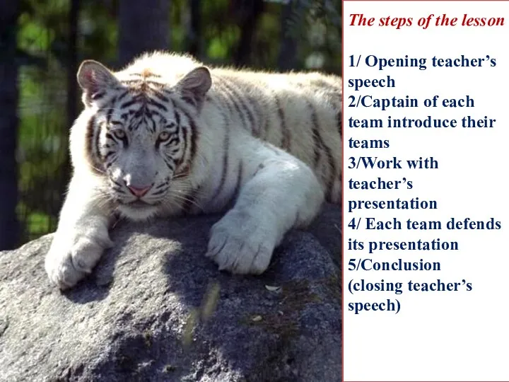 The steps of the lesson 1/ Opening teacher’s speech 2/Captain