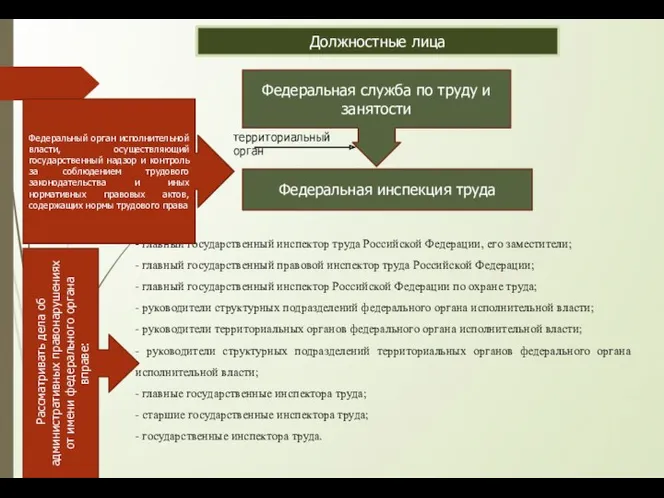 Должностные лица Федеральная служба по труду и занятости Федеральная инспекция труда - главный