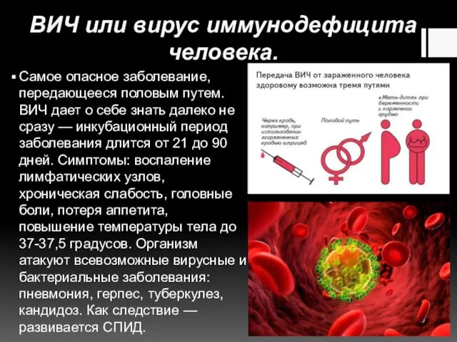 ВИЧ или вирус иммунодефицита человека. Самое опасное заболевание, передающееся половым