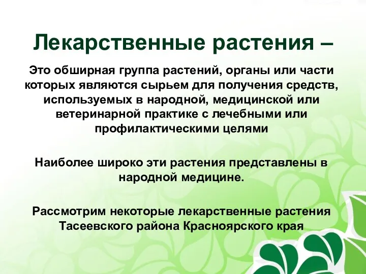 Лекарственные растения – Это обширная группа растений, органы или части