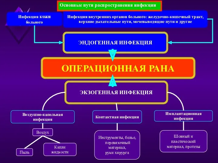 Инфекция кожи больного Инфекция внутренних органов больного: желудочно-кишечный тракт, верхние