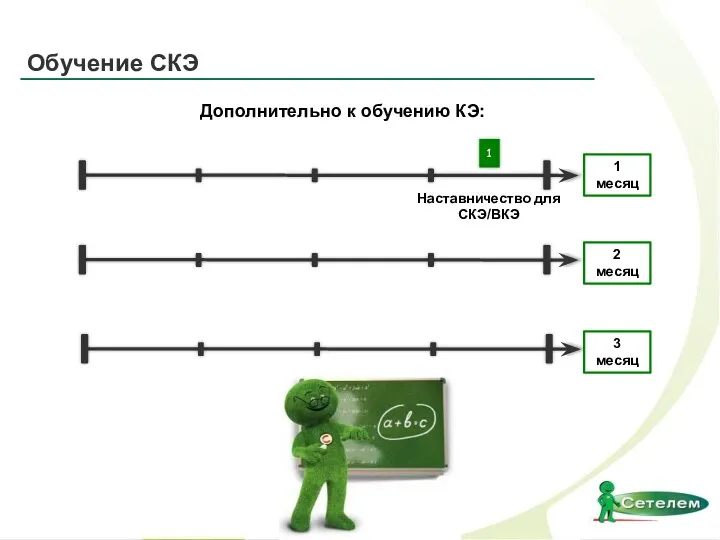 Наставничество для СКЭ/ВКЭ 1 месяц 1 Обучение СКЭ Дополнительно к обучению КЭ: 2 месяц 3 месяц