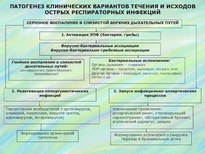 ПАТОГЕНЕЗ КЛИНИЧЕСКИХ ВАРИАНТОВ ТЕЧЕНИЯ И ИСХОДОВ ОСТРЫХ РЕСПИРАТОРНЫХ ИНФЕКЦИЙ СЕРОЗНОЕ