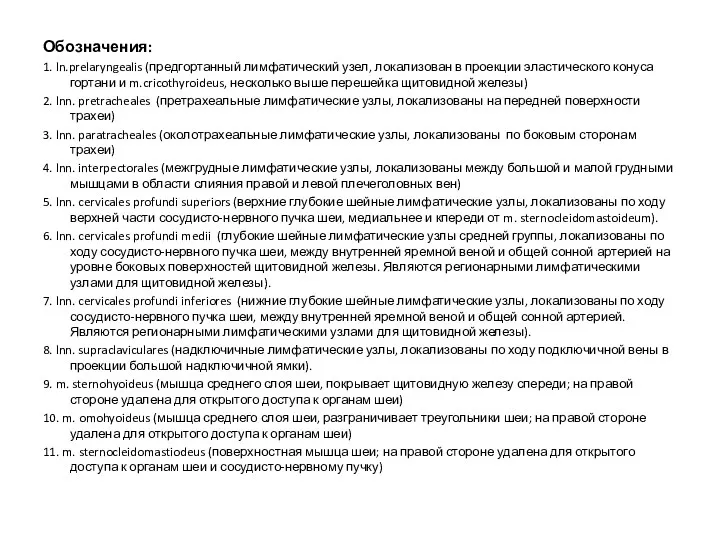 Обозначения: 1. ln.prelaryngealis (предгортанный лимфатический узел, локализован в проекции эластического