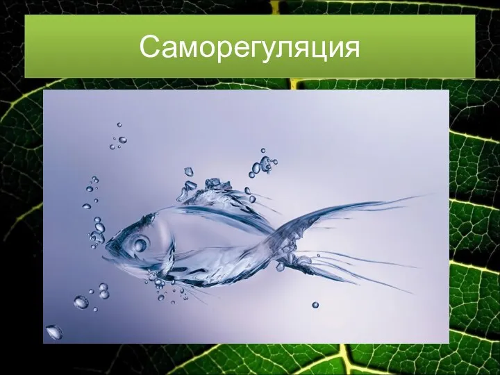 Саморегуляция