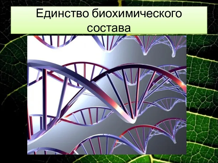 Единство биохимического состава