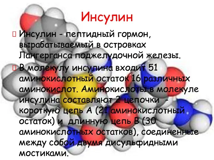 Инсулин Инсулин - пептидный гормон, вырабатываемый в островках Лангерганса поджелудочной