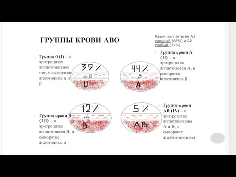 ГРУППЫ КРОВИ АВО Группа 0 (I) – в эритроцитах агглютиногенов нет, в сыворотке