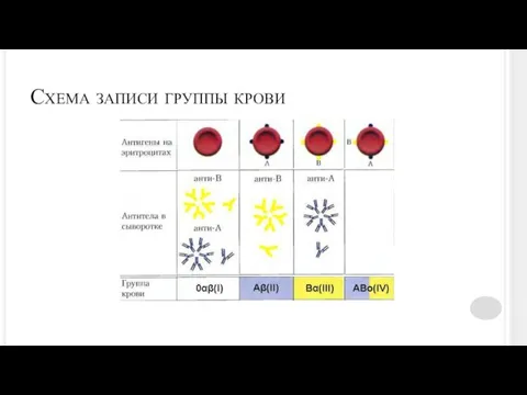 Схема записи группы крови