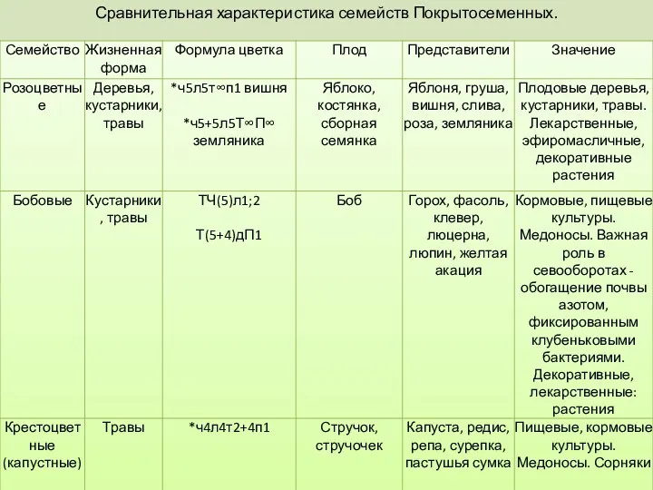 Сравнительная характеристика семейств Покрытосеменных.