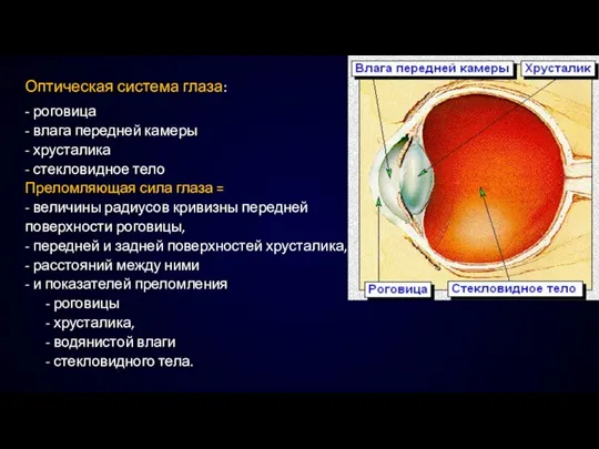 Оптическая система глаза: - роговица - влага передней камеры -