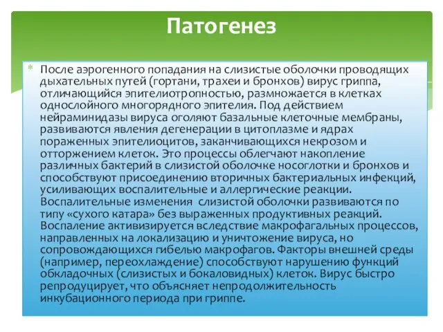 После аэрогенного попадания на слизистые оболочки проводящих дыхательных путей (гортани,