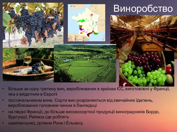 Виноробство Більше за одну третину вин, вироблюваних в країнах ЄС,