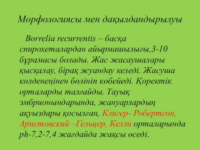 Морфологиясы мен дақылдандырылуы Borrelia recurrentis – басқа спирохеталардан айырмашылығы,3-10 бұрамасы