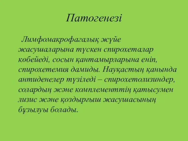 Патогенезі Лимфомакрофагалық жүйе жасушаларына түскен спирохеталар көбейеді, сосын қантамырларына еніп,