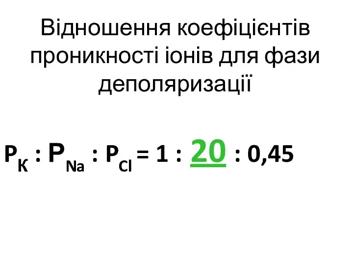 Відношення коефіцієнтів проникності іонів для фази деполяризації PК : РNa : PCl =