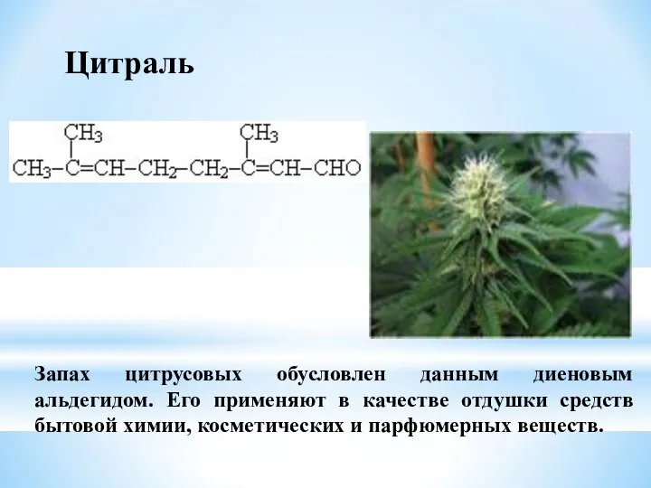 Запах цитрусовых обусловлен данным диеновым альдегидом. Его применяют в качестве